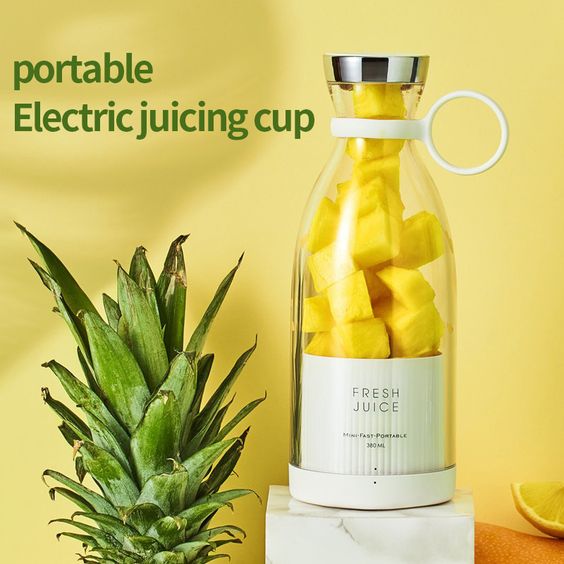 Mini Juicer Blender